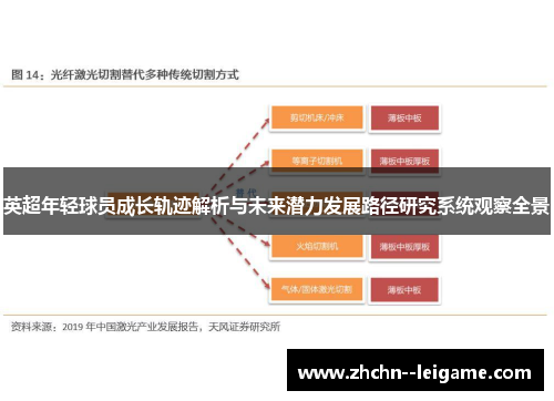 英超年轻球员成长轨迹解析与未来潜力发展路径研究系统观察全景