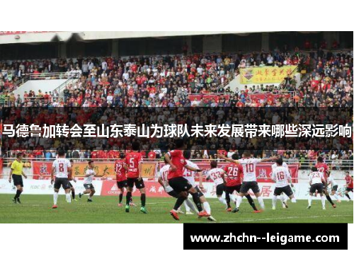 马德鲁加转会至山东泰山为球队未来发展带来哪些深远影响