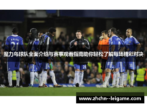 魔力鸟球队全面介绍与赛事观看指南助你轻松了解每场精彩对决